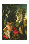 The Penitence of St. Jerome, 1502 by Lucas the Elder Cranach