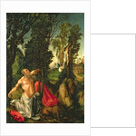 The Penitence of St. Jerome, 1502 by Lucas the Elder Cranach