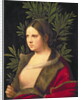 Portrait of a Young Woman, 1506 by Giorgione