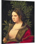 Portrait of a Young Woman, 1506 by Giorgione