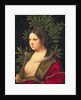 Portrait of a Young Woman, 1506 by Giorgione
