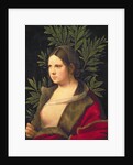Portrait of a Young Woman, 1506 by Giorgione