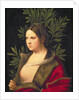 Portrait of a Young Woman, 1506 by Giorgione