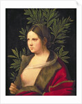 Portrait of a Young Woman, 1506 by Giorgione