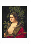 Portrait of a Young Woman, 1506 by Giorgione