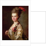 Archduchess Marie-Christine Habsburg-Lothringen by Anonymous