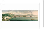 View of Naples from the west, 1730 by Gaspar Butler
