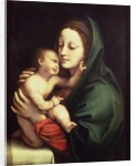 Madonna and child, c.1510 by Bernardino Luini