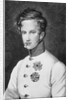 Napoleon II, Francois Charles Joseph Bonaparte son of Napoleon Bonaparte I later Duke of Reichstadt c.1811-14 by Austrian School