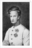 Napoleon II, Francois Charles Joseph Bonaparte son of Napoleon Bonaparte I later Duke of Reichstadt c.1811-14 by Austrian School