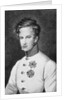 Napoleon II, Francois Charles Joseph Bonaparte son of Napoleon Bonaparte I later Duke of Reichstadt c.1811-14 by Austrian School