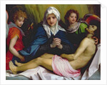 Lament of Christ, c.1519-20 by Andrea del Sarto