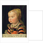 Archduchess Eleanor of Mantua, aged two by Jakob Seisenegger