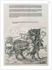 Triumphal Chariot of Emperor Maximilian I of Germany: detail of the horse teams, guided by two Virtues, Magnanimity and Audaciousness by Albrecht Dürer or Duerer