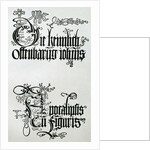 Inscriptions in Gothic script by Albrecht Dürer or Duerer