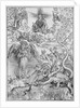 Apocalyptical scene by Albrecht Dürer or Duerer