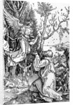 Joachim and the Angel from the 'Life of the Virgin' series, pub. 1511 by Albrecht Dürer or Duerer