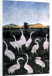 Herons in a field by Konrad Witz