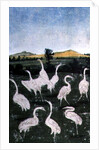 Herons in a field by Konrad Witz