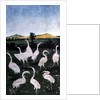 Herons in a field by Konrad Witz