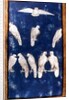 Birds of Prey in flight and on perches, one of a set of playing cards depicting scenes of courtly hawking, Upper Rhein Area, c.1440-45 by Konrad Witz