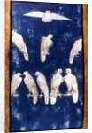 Birds of Prey in flight and on perches, one of a set of playing cards depicting scenes of courtly hawking, Upper Rhein Area, c.1440-45 by Konrad Witz