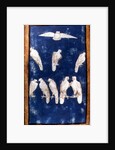 Birds of Prey in flight and on perches, one of a set of playing cards depicting scenes of courtly hawking, Upper Rhein Area, c.1440-45 by Konrad Witz