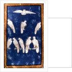 Birds of Prey in flight and on perches, one of a set of playing cards depicting scenes of courtly hawking, Upper Rhein Area, c.1440-45 by Konrad Witz