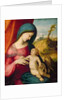 Madonna and Child, 1512-14 by Correggio