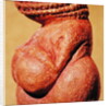 Female figurine known as the Venus of Willendorf, side view detail of torso, Gravettian culture, Upper Palaeolithic Period, c.30000-18000 BC by Paleolithic Paleolithic