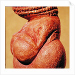 Female figurine known as the Venus of Willendorf, side view detail of torso, Gravettian culture, Upper Palaeolithic Period, c.30000-18000 BC by Paleolithic Paleolithic