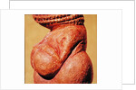 Female figurine known as the Venus of Willendorf, side view detail of torso, Gravettian culture, Upper Palaeolithic Period, c.30000-18000 BC by Paleolithic Paleolithic