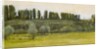 Landscape with Willows and Poplars, Study by Edward Coley Burne-Jones