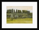 Landscape with Willows and Poplars, Study by Edward Coley Burne-Jones