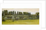 Landscape with Willows and Poplars, Study by Edward Coley Burne-Jones