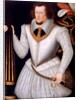 Portrait of Robert Devereux, 2nd Earl of Essex by Marcus Gheeraerts