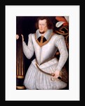 Portrait of Robert Devereux, 2nd Earl of Essex by Marcus Gheeraerts