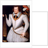 Portrait of Robert Devereux, 2nd Earl of Essex by Marcus Gheeraerts