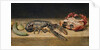 Lobster, Crab and Cucumber, 1827 by William Henry Hunt
