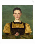 Portrait of Anna Elizabeth Baker, 1887 by Joseph Edward Southall