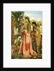 Lilium Auratum, 1871 by John Frederick Lewis