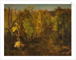 La Vigne, 1860-1863 by Charles Francois Daubigny