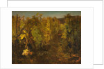 La Vigne, 1860-1863 by Charles Francois Daubigny