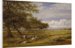 An English Hayfield, 1878 by Benjamin Williams Leader