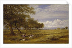 An English Hayfield, 1878 by Benjamin Williams Leader