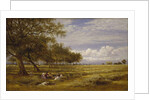 An English Hayfield, 1878 by Benjamin Williams Leader