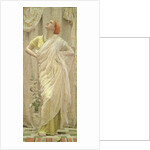Birds by Albert Joseph Moore