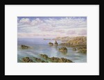 The Southern Coast of Guernsey, 1875 by John Brett