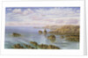 The Southern Coast of Guernsey, 1875 by John Brett
