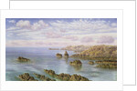The Southern Coast of Guernsey, 1875 by John Brett